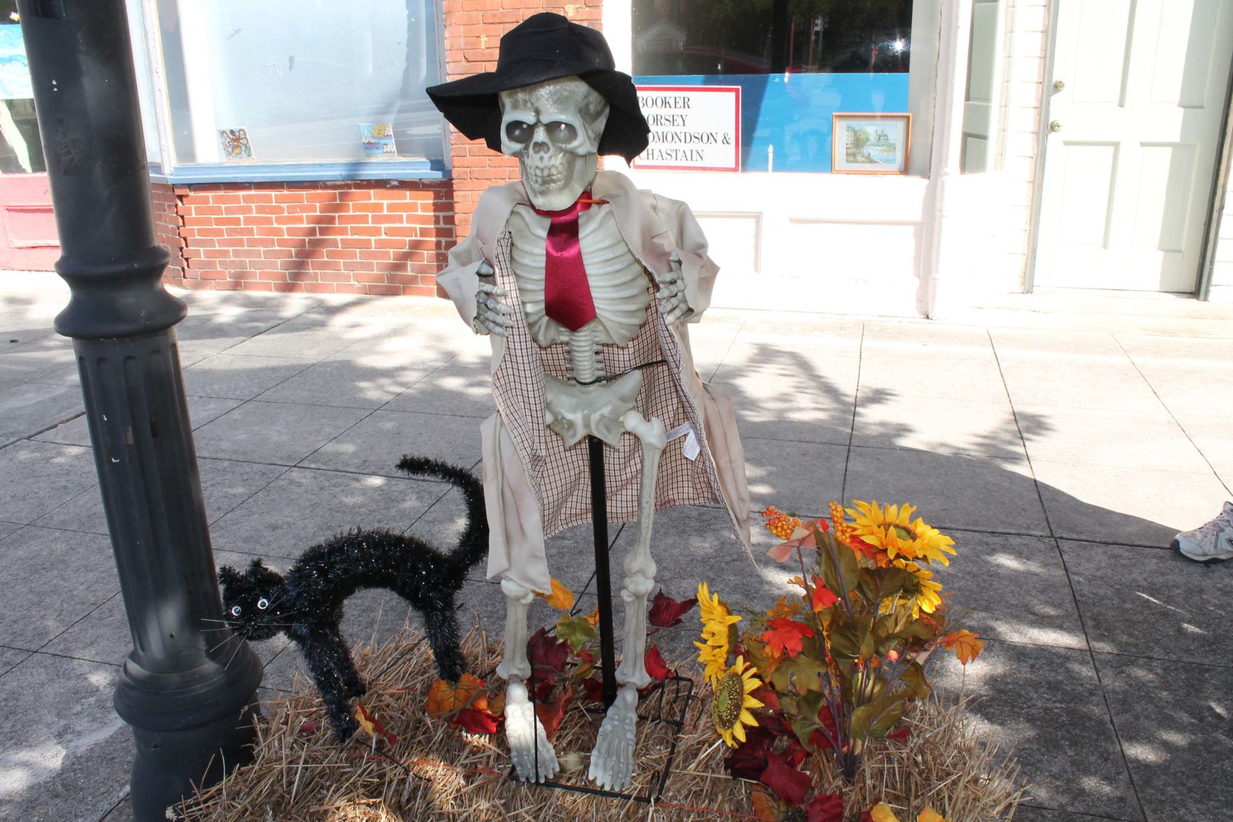 skeleton streaker.jpg